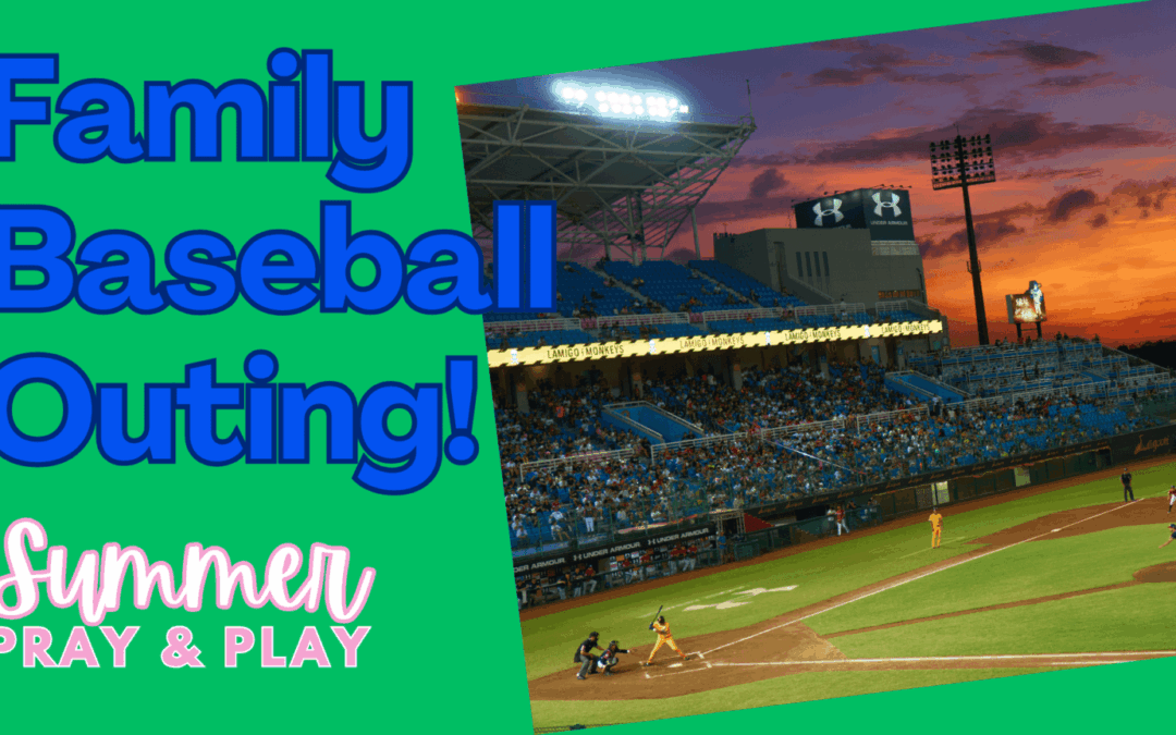 Family Baseball Outing