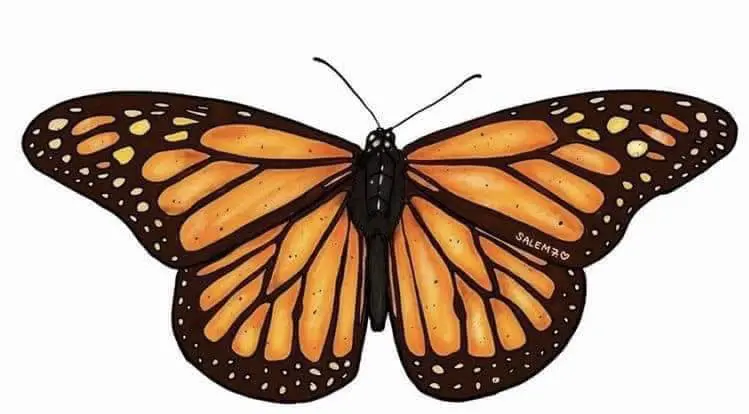 Anchor & Key Ministries